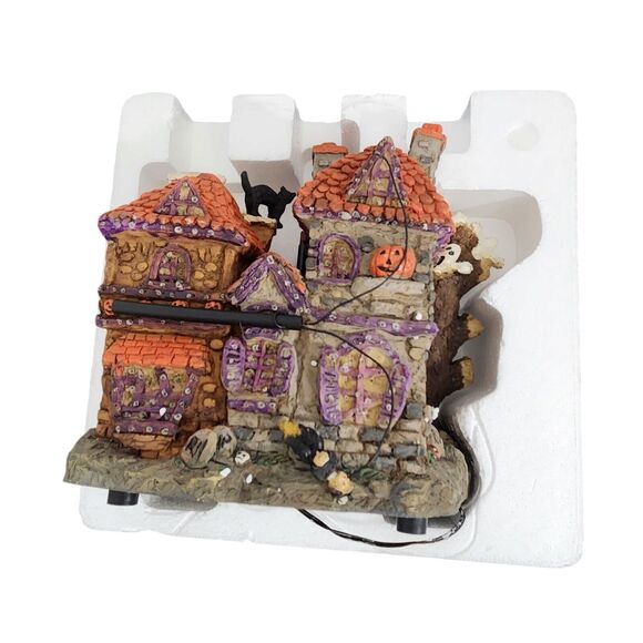 Halloween Haunted House Fiber Optic Lighted Flying Witch 10" In Box 2003 - Picture 4 of 6